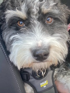 Ocean North Carolina