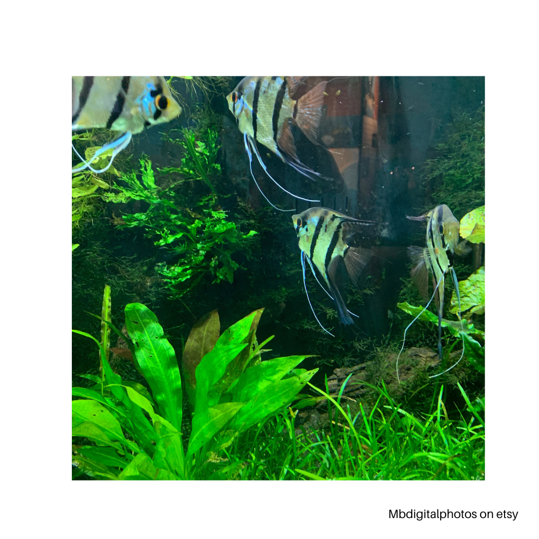 Five ways to raise your vibration social media post