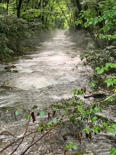 Pictures for your projects