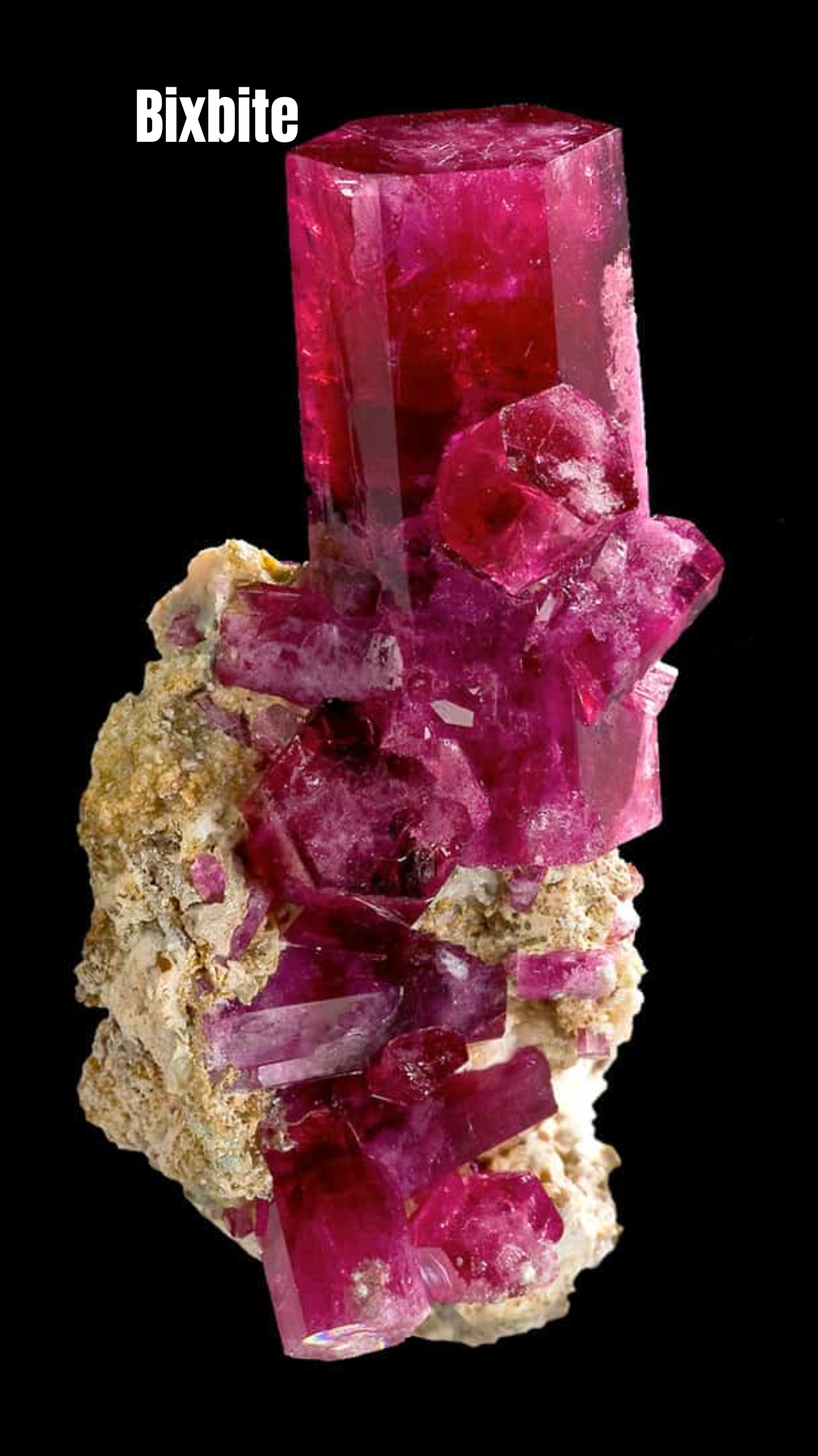 Red cellphone wallpaper