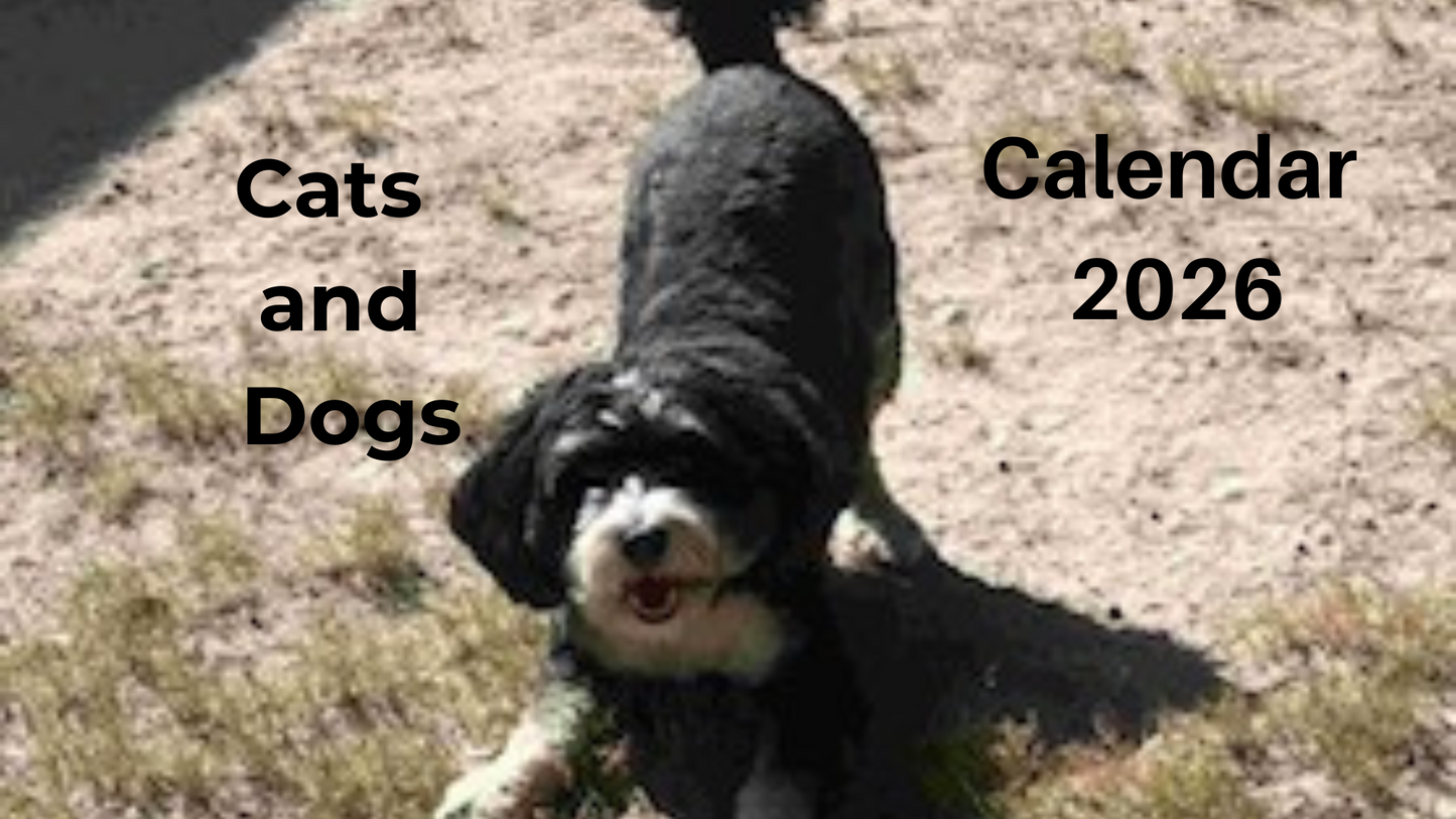 Digital 2026 calendar