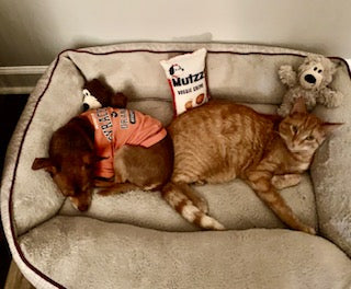 Pictures for your projects