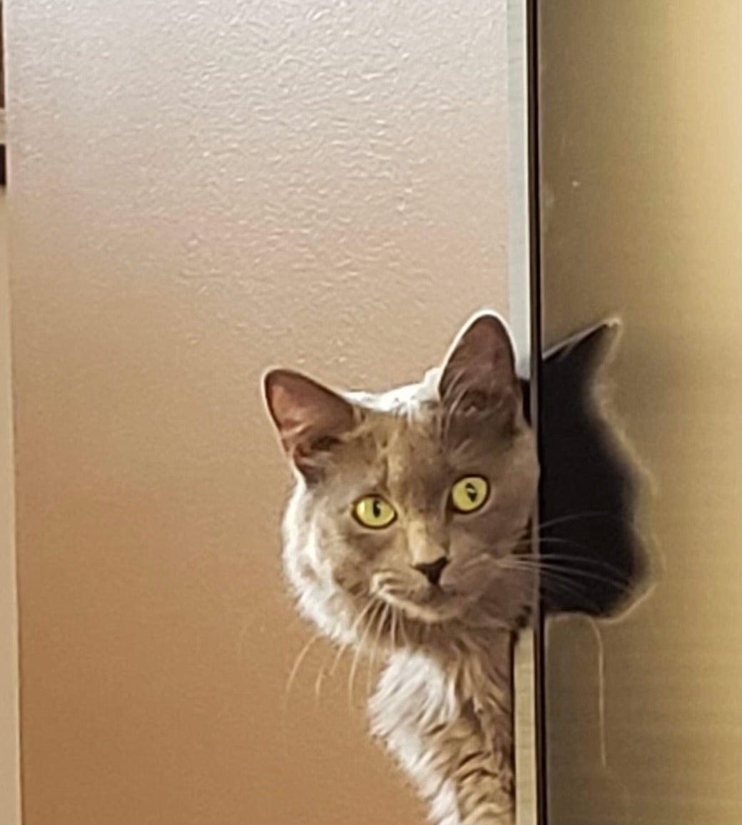 Ocean North Carolina