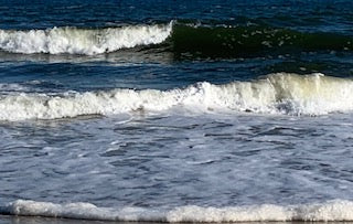 Crane Picture, Ocean picture, beautiful day at the beach, Footprints on the beach, waves Ocean Front, North Carolina pictures