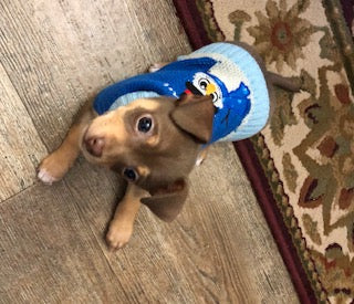 Pictures for your projects