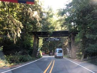 Mount Reinier National Park