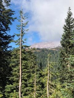 Mount Reinier National Park