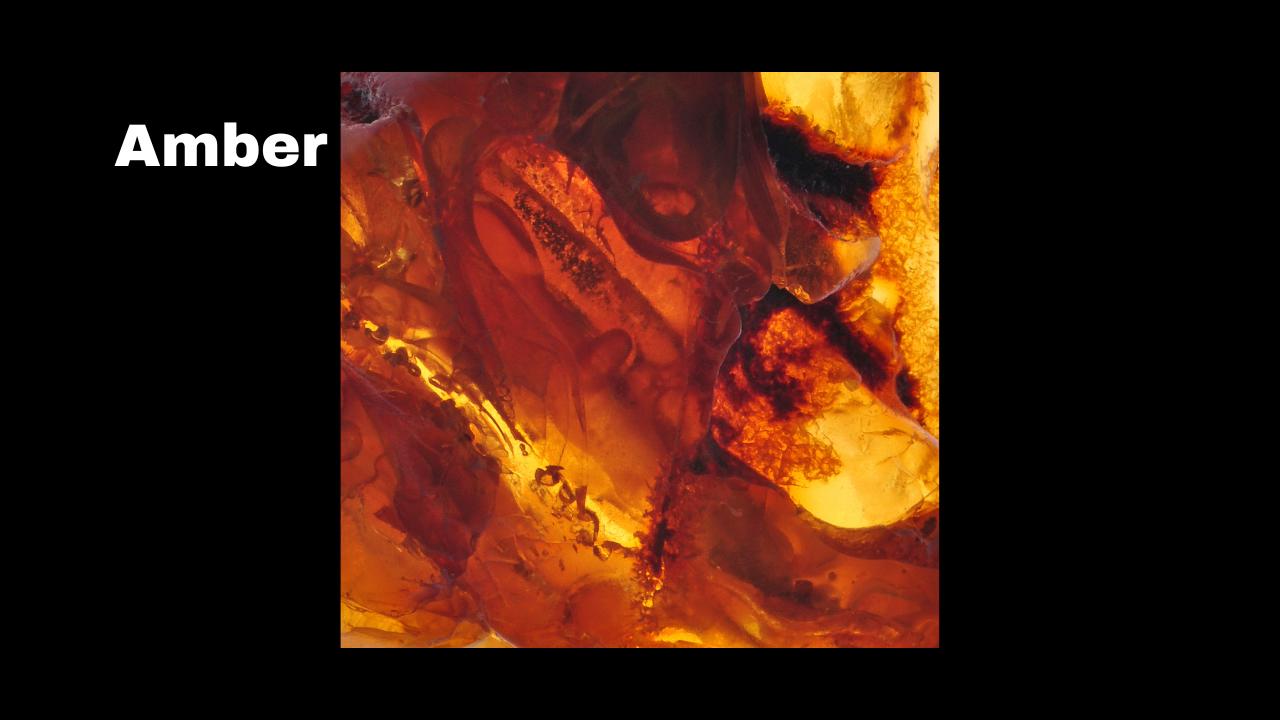 Amber thumbnail