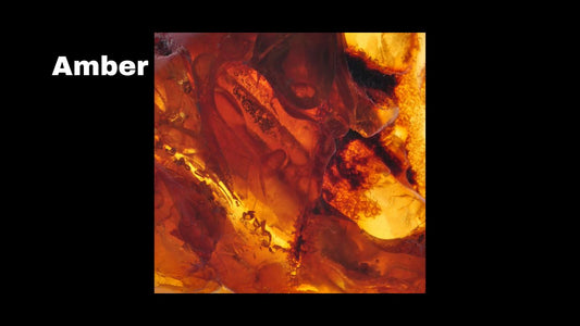 Amber thumbnail