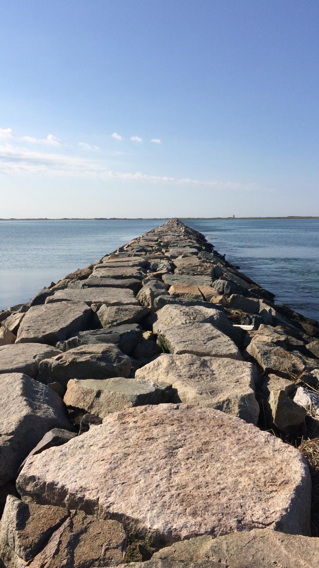 Cell phone wallpaper