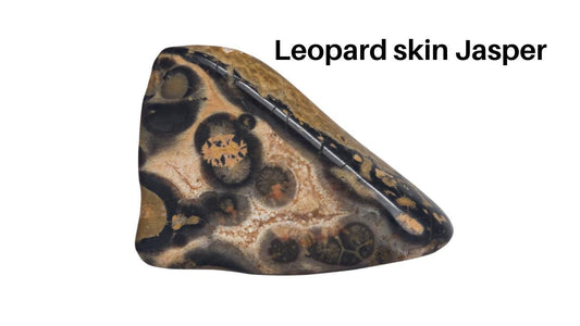 Leopard skin Jasper thumbnail